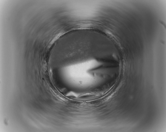 X0000099531449200805301430