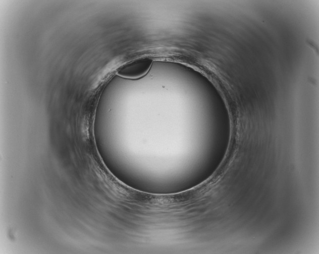 X0000099531451200805301430
