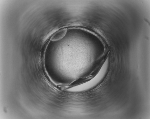 X0000099531452200805301430