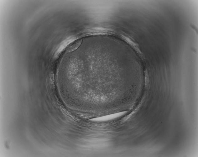 X0000099531453200805301430