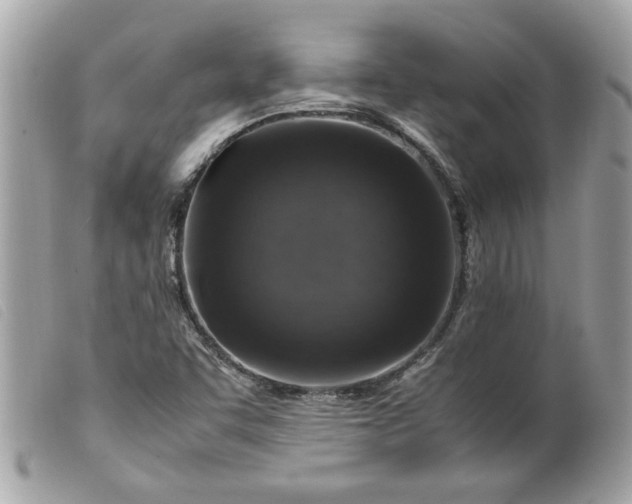 X0000099531455200805301429