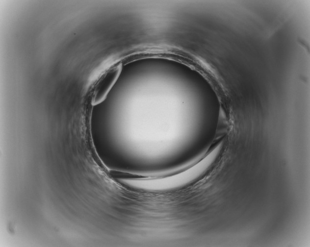 X0000099531456200805301429
