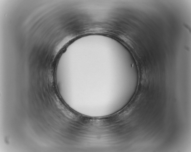 X0000099531458200805301429