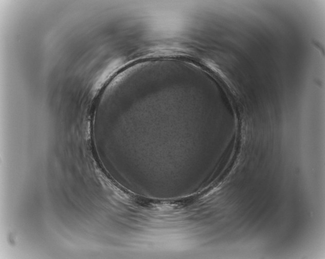 X0000099531459200805301429