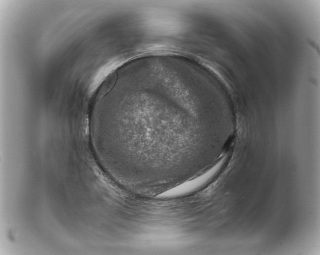 X0000099531461200805301429