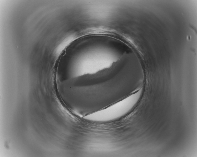 X0000099531463200805301429