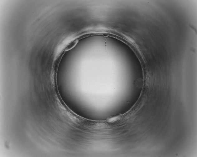X0000099531464200805301429