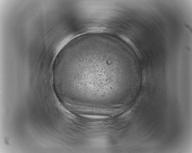 X0000099531467200805301429