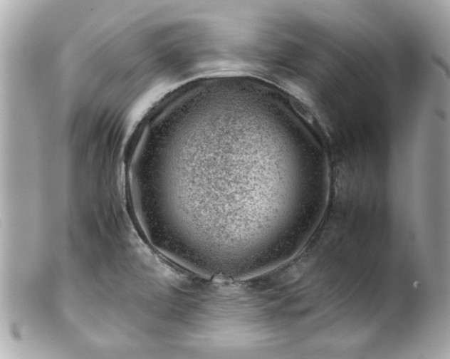 X0000099531472200805301429