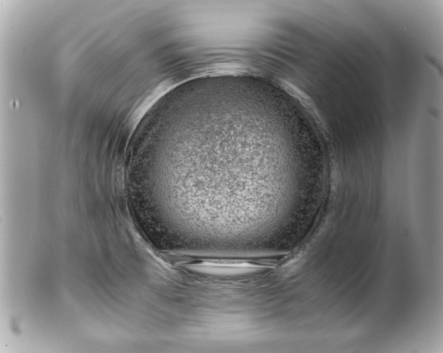 X0000099531473200805301429