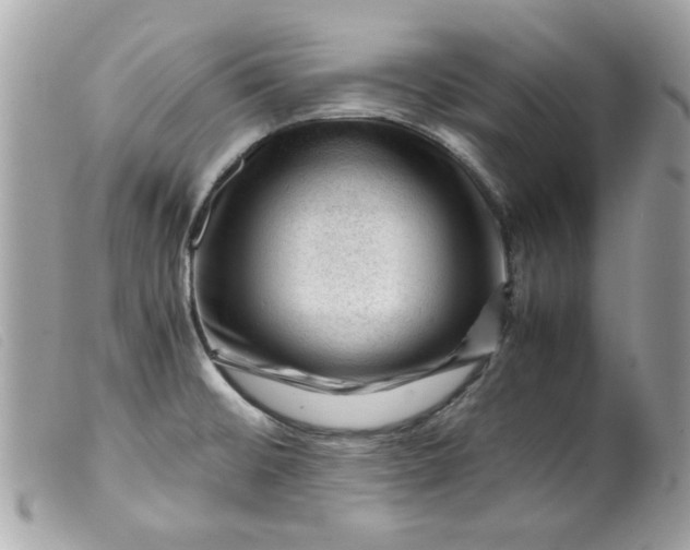 X0000099531476200805301429