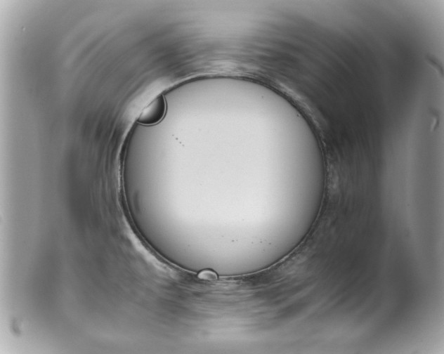 X0000099531479200805301429