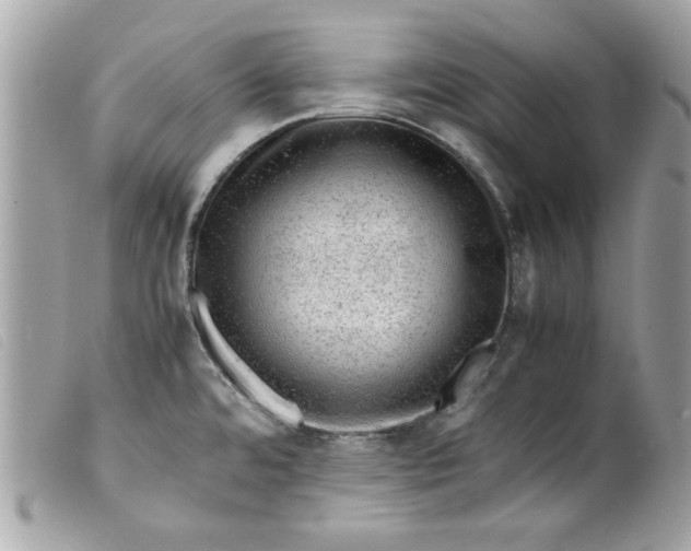 X0000099531480200805301429