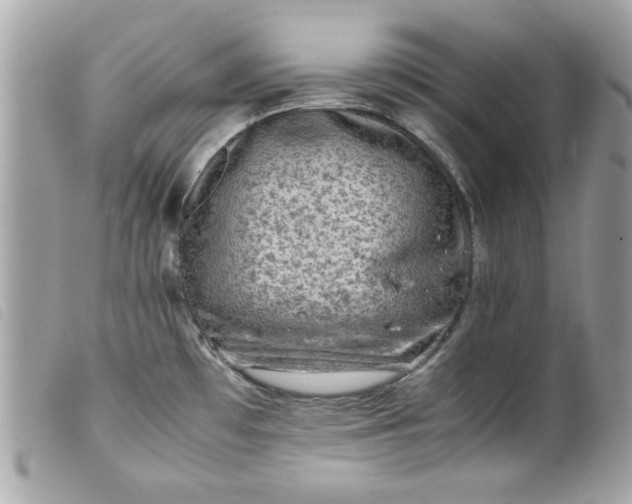 X0000099531481200805301429