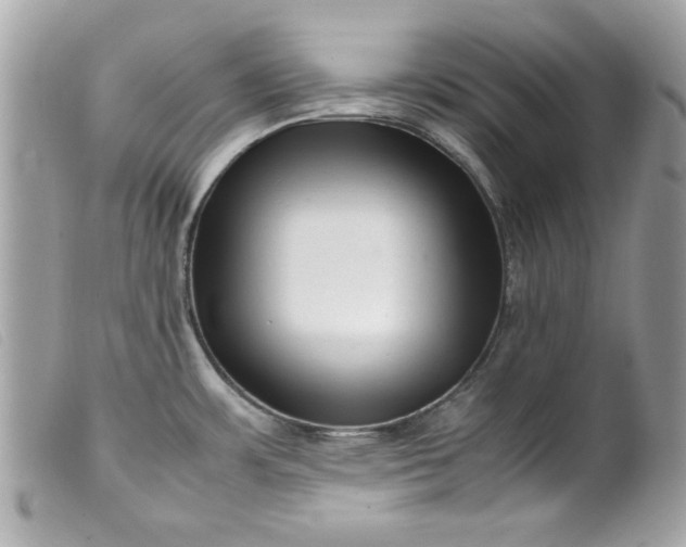 X0000099531483200805301429
