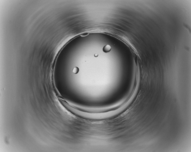 X0000099531484200805301429