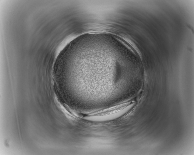 X0000099531485200805301429