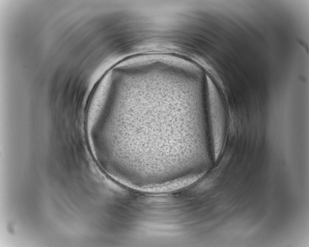 X0000099531486200805301429