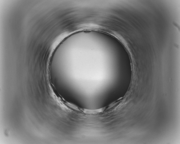 X0000099531488200805301429