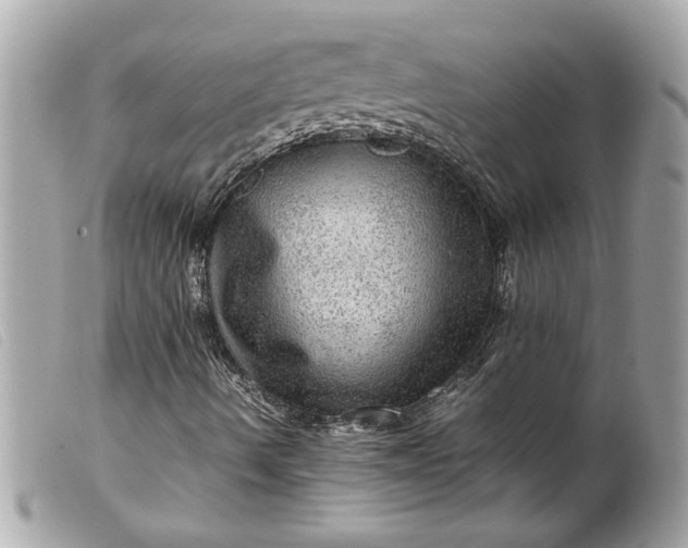 X0000099531490200805301428