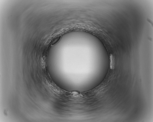 X0000099531491200805301428