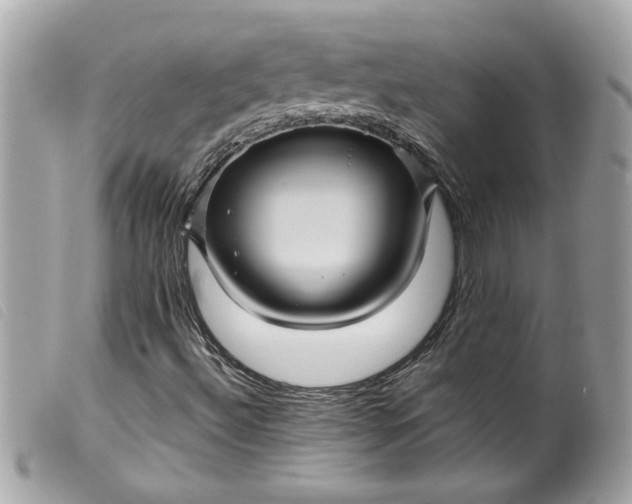 X0000099531492200805301428