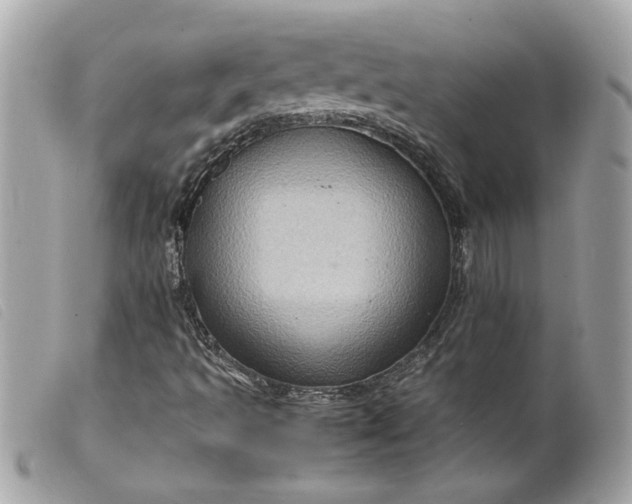 X0000099531493200805301428