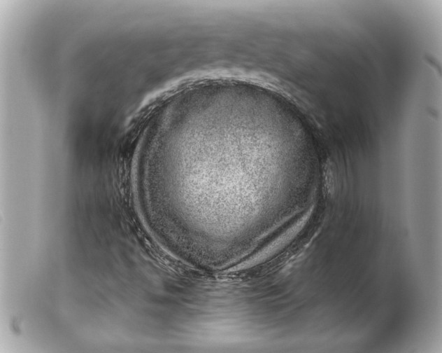 X0000099531494200805301428