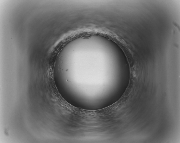 X0000099531495200805301428