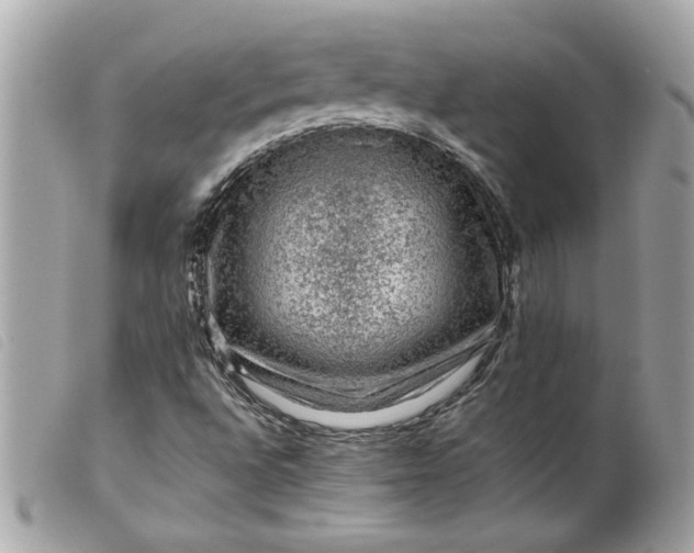 X0000099531496200805301428
