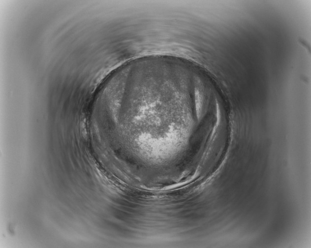 X0000099531497200805301428
