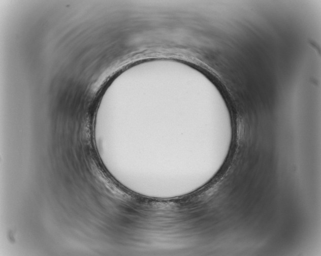 X0000099531498200805301428