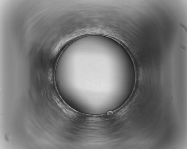 X0000099531499200805301429