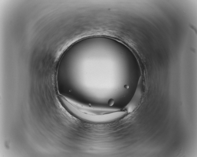 X0000099531500200805301429