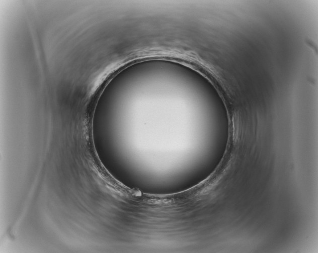 X0000099531501200805301429