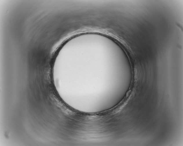 X0000099531502200805301429