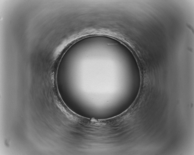 X0000099531503200805301429