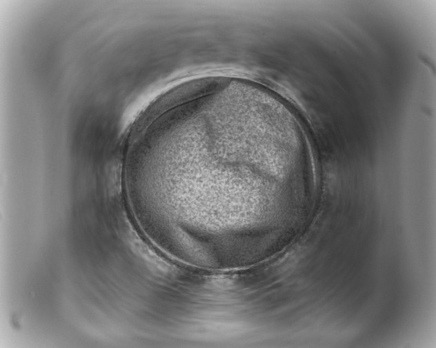 X0000099531504200805301429