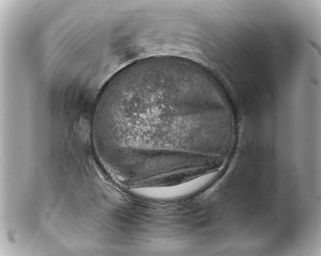 X0000099531505200805301429