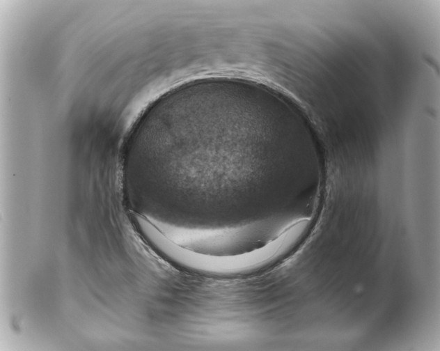 X0000099531506200805301429