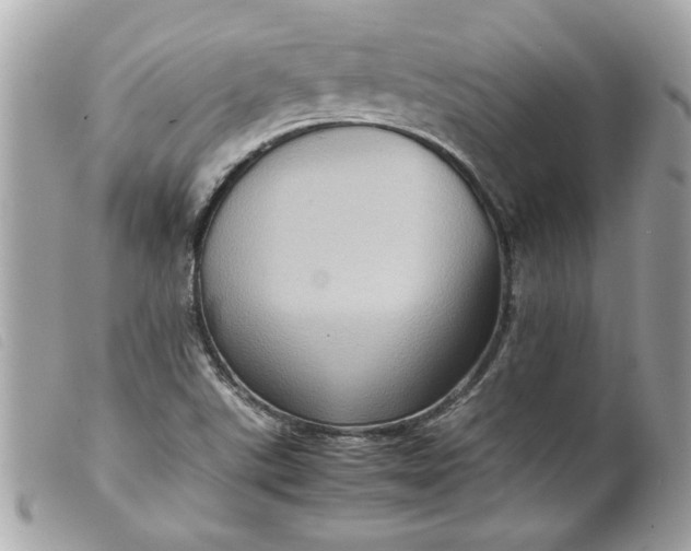 X0000099531507200805301429