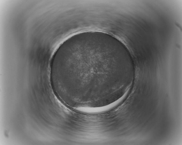 X0000099531508200805301429