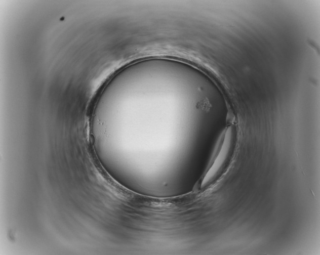 X0000099531509200805301429