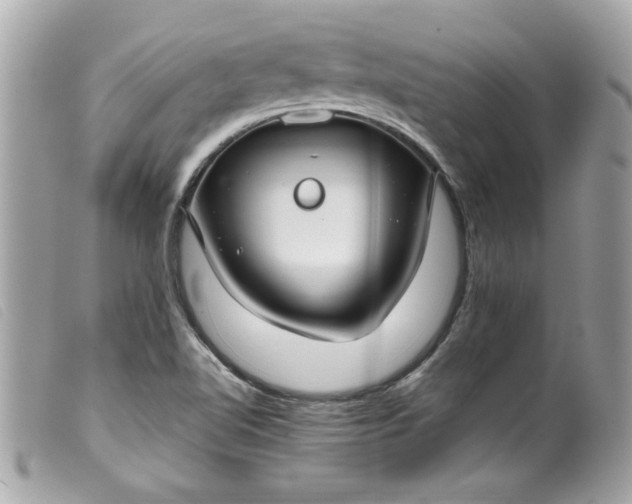 X0000099531510200805301429