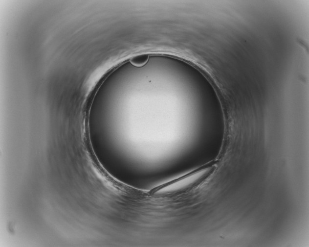 X0000099531511200805301429