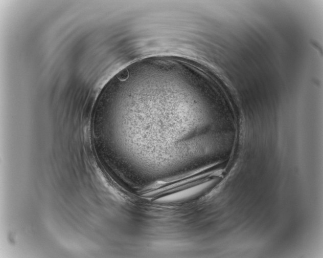 X0000099531513200805301429
