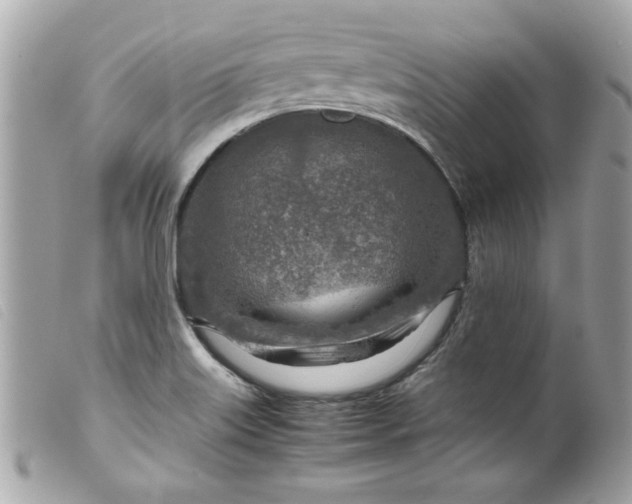 X0000099531515200805301429