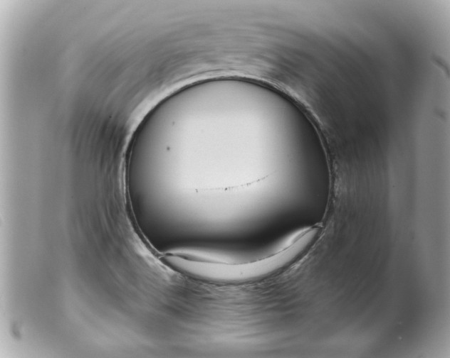 X0000099531516200805301429