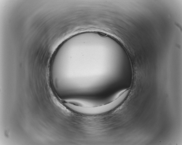 X0000099531518200805301429