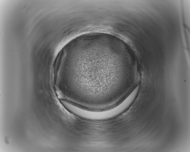 X0000099531520200805301429